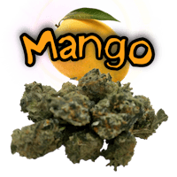 mango cbd with a leaf in the background